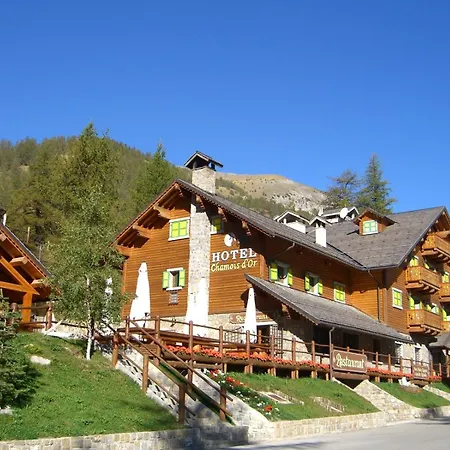 Chamois D'or